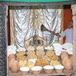 Vraj-Yatra-2014- (796)